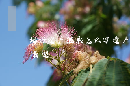 起诉遗产继承怎么写(遗产继承诉讼请求如何表述)