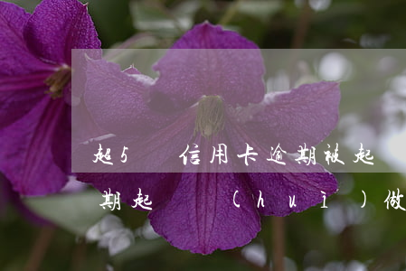 超5萬信用卡逾期被起訴(信用卡5萬塊錢逾期起訴會(huì)做多久)