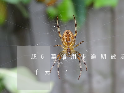 超5萬信用卡逾期被起訴（信用卡逾期五萬七千元）