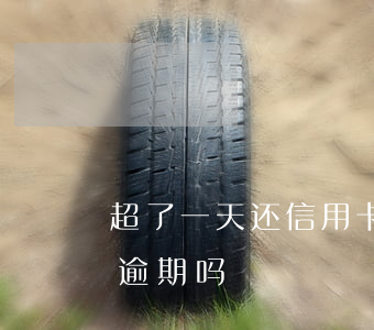 超了一天还信用卡（信用卡超出还款日一天算逾期吗）