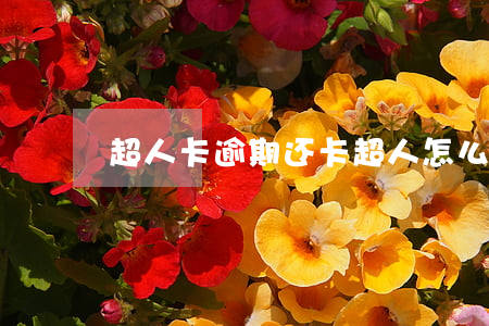 超人卡逾期(还卡超人怎么没有了)