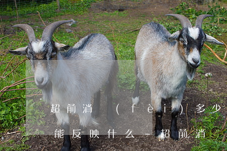 超前消費(fèi)多少無(wú)力償還能反映什么-超前消費(fèi)多少無(wú)力償還能反映什么問(wèn)題