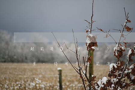 超前消費(fèi)爽一時信用卡逾期悔終生-信用卡 超前消費(fèi)
