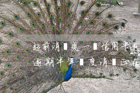 超前消費爽一時信用卡逾期(信用卡797億逾期半年過度消費正在摧毀年輕人的生活)