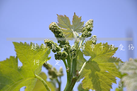 超市员工在超市干活受伤了算工伤吗,工伤如何认定