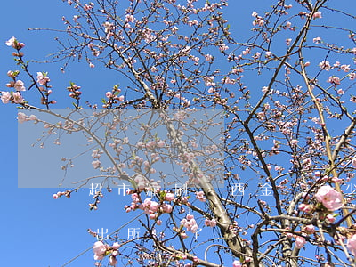 超市漏刷東西金額多少可以立案(超市漏刷派出所來了)