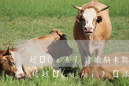 超時(shí)逾期未能解除微信異常-微信超時(shí)無法撤回怎么辦