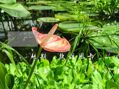 超期還款 信用卡協(xié)商還款(信用卡逾期協(xié)商一次性還款還要簽合同嗎?)