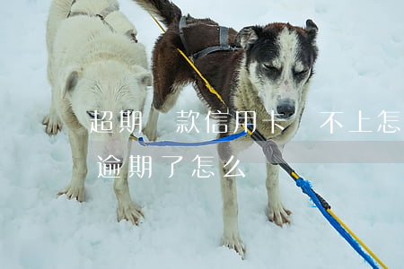 超期還款 信用卡還不上怎么辦(信用卡還不上逾期了怎么辦)