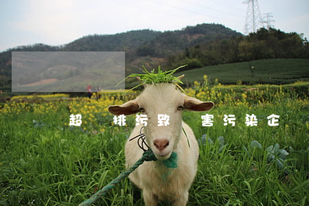 超標排污致損害 污染企業要全賠
