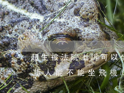 超生被法院上訴可以坐飛機(jī)嗎(被起訴人能不能坐飛機(jī))