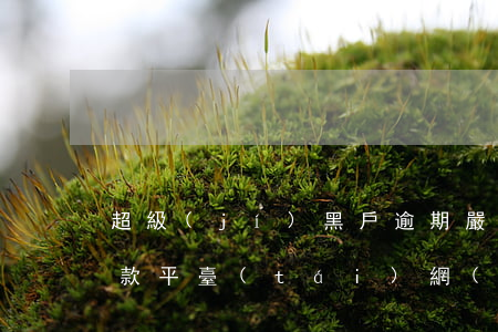 超級(jí)黑戶逾期嚴(yán)重的下款平臺(tái)(網(wǎng)黑逾期嚴(yán)重能下款的平臺(tái))