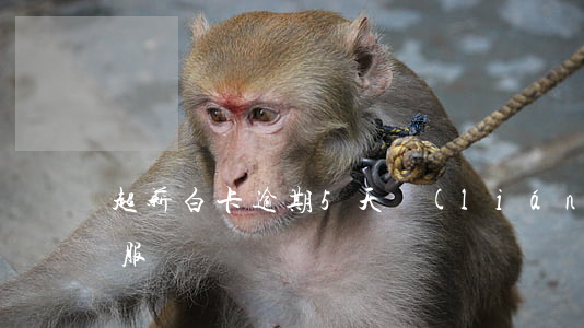 超薪白卡逾期5天聯(lián)系不到客服