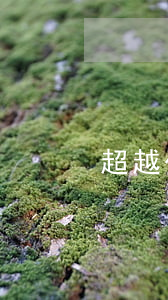 超越代理權的行為有哪些