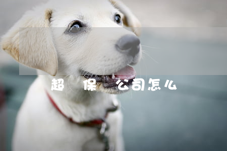超載保險公司怎么賠償