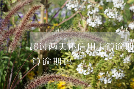 超过两天还信用卡算逾期吗（信用卡过了五天算逾期吗）
