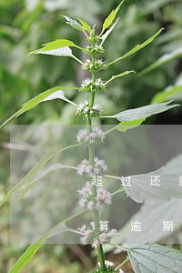 超过还款日还款就是逾期吗（超过还款期多久算逾期）