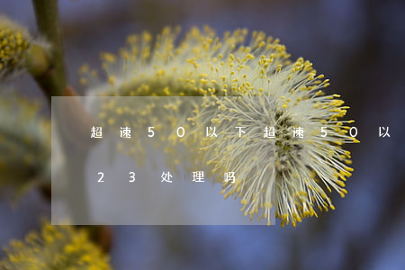 超速50 以下(超速50以下能在交警12123处理吗)