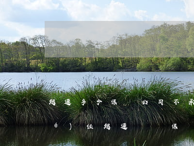超速多少保險公司不承擔(dān)責(zé)任(超速駕駛保險公司賠嗎)