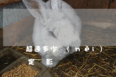 超速多少內(nèi)對(duì)事故判定沒影響