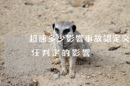 超速多少影響事故認定(交通事故中超速對責任判定的影響)