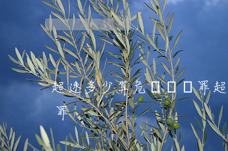 超速多少算危險駕駛罪(超速多少是危險駕駛罪)