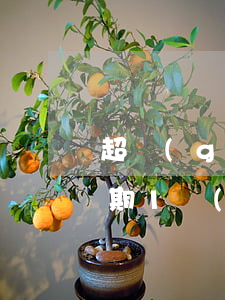 超過(guò)5萬(wàn)元信用卡逾期1個(gè)月