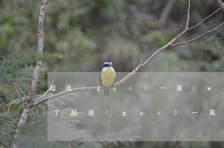 超過(guò)一萬(wàn)信用卡逾期了(超過(guò)一萬(wàn)信用卡逾期了)