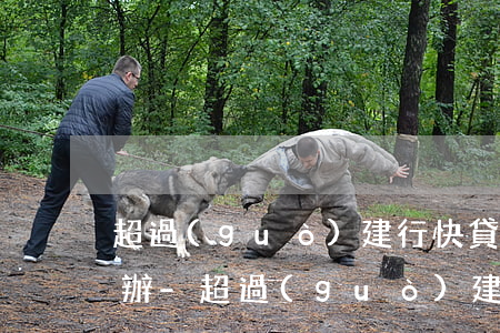 超過(guò)建行快貸還款日一天了怎么辦-超過(guò)建行快貸還款日一天了怎么辦理