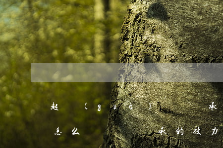 超過(guò)遺囑繼承的時(shí)效怎么辦(遺囑繼承的效力大于法定繼承)