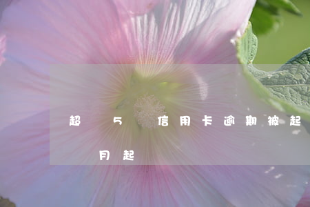 超過5萬信用卡逾期被起訴（卡片5萬逾期三個月起訴）