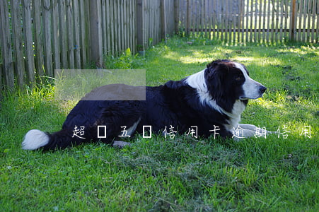 超過五萬信用卡逾期(信用卡5萬以上逾期)