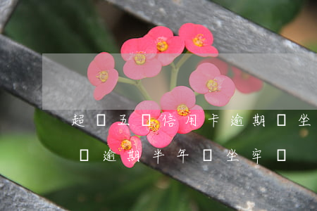 超過五萬信用卡逾期會坐牢嗎光大 信用卡5萬逾期半年會坐牢嗎