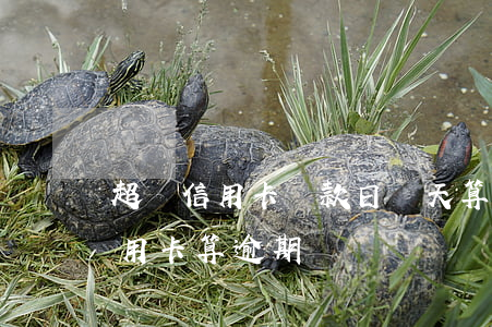 超過信用卡還款日幾天算逾期(超過兩天還信用卡算逾期嗎)