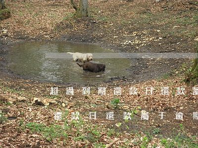 超過到期還款日還款屬于逾期嗎-超過到期還款日還款屬于逾期嗎怎么辦