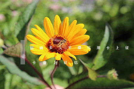 超過多久不還信用卡上征信(幾個月不還信用卡會上征信)
