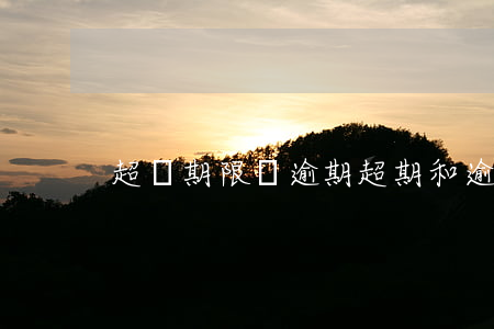 超過期限與逾期(超期和逾期)