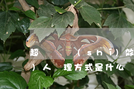 超過訴訟時(shí)效的債權(quán)人處理方式是什么