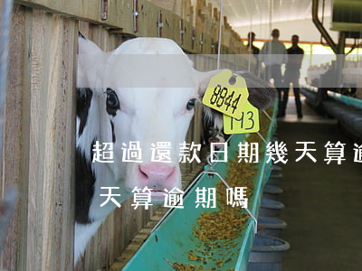 超過還款日期幾天算逾期(到期還款日超過一天算逾期嗎)