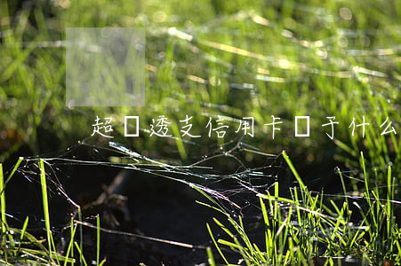 超額透支信用卡屬于什么罪(故意透支信用卡)