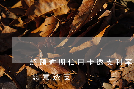 超額逾期信用卡透支利率(信用卡逾期多少算惡意透支)