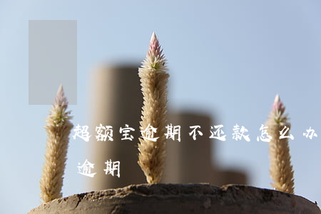 超额宝逾期不还款怎么办(别的逾期支付宝不逾期)