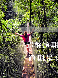 超齡逾期有卡提額申請表是什么-超齡有卡逾期是什么意思