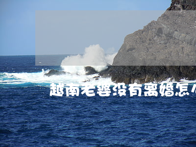越南老婆没有离婚怎么办