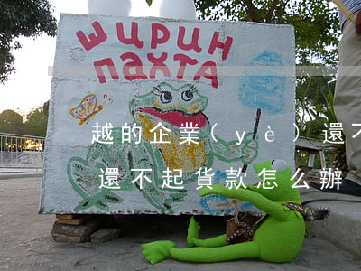 越的企業(yè)還不起貸款 企業(yè)還不起貨款怎么辦