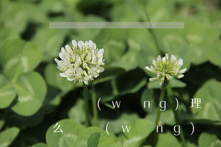 趕貸網(wǎng)理財(cái)逾期怎么辦(網(wǎng)貸催款如何解決)
