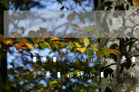 趕集網(wǎng)兼職(趕集網(wǎng)兼職招聘小時(shí)工)