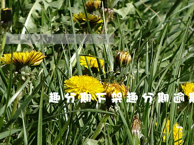 趣分期下架（趣分期逾期起訴）
