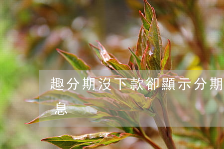 趣分期沒下款,卻顯示分期賬單（趣分期沒有免息）