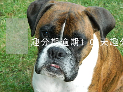 趣分期逾期10天(趣分期不还会起诉吗?)